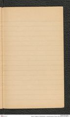 Seite 45, Tagebuch "Paläolithstation | Lang-Mannersdorf | Photos 1920 (NHMW-PRAE-BBB-10)